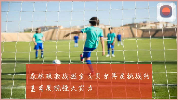 森林狼激战掘金戈贝尔再度挑战约基奇展现强大实力
