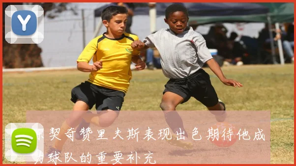 东契奇赞里夫斯表现出色期待他成为球队的重要补充