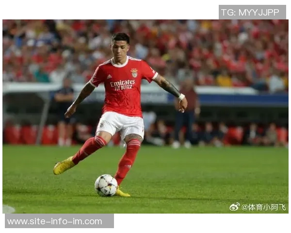 勒沃库森确认格里马尔多伤势恢复良好即将加入西班牙国家队